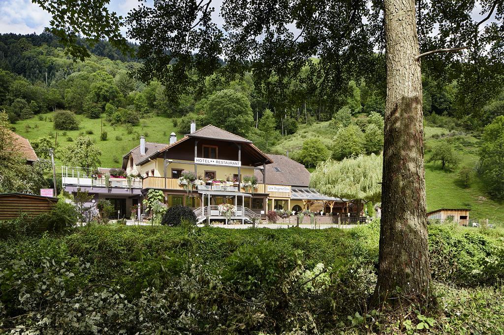 Hostellerie Les Bagenelles Sainte-Marie-aux-Mines Exterior foto